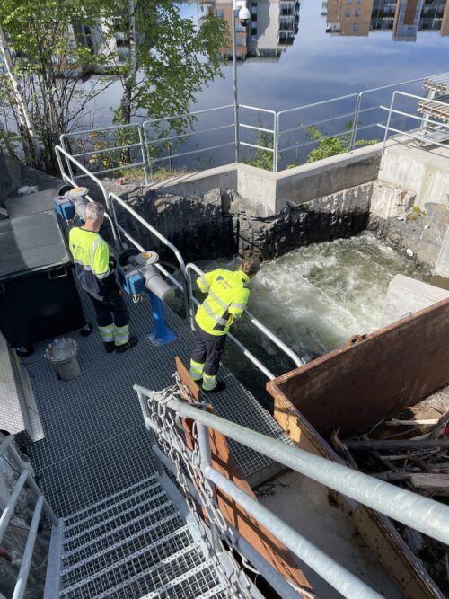 Fri fiskevandring gjennom vannkraftverk