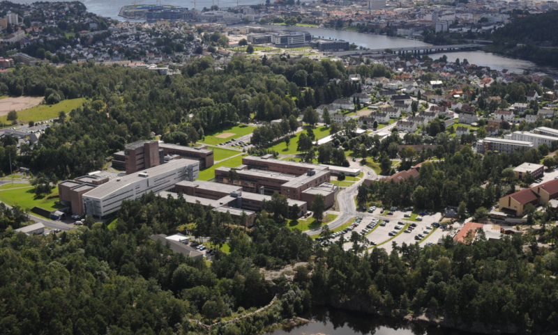 Uia kristiansand