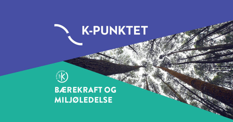 bærekraft og miljøledelse
