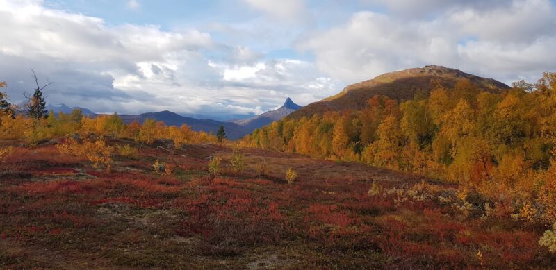 Høst i Skaiti